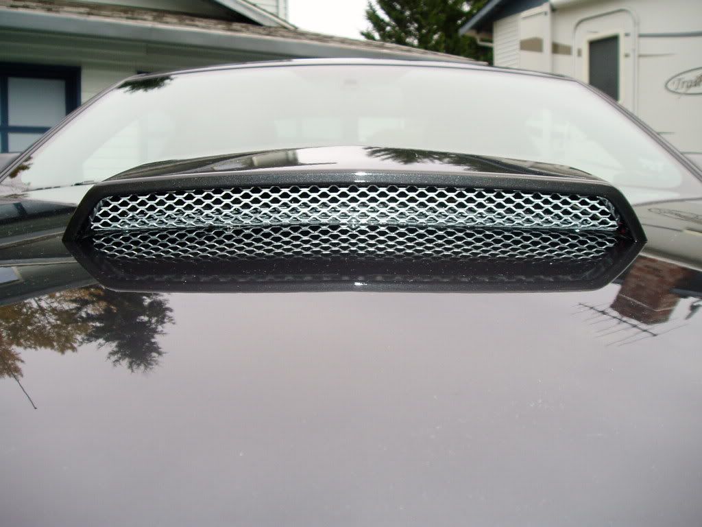 Functional Factory Hood Scoop The Mustang Source Ford Mustang Forums